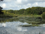 Lonnekermeer